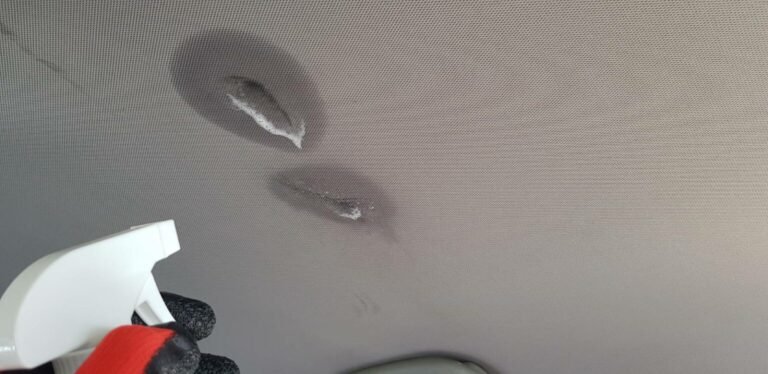 Can A Car Headliner Be Cleaned With A Rug Doctor