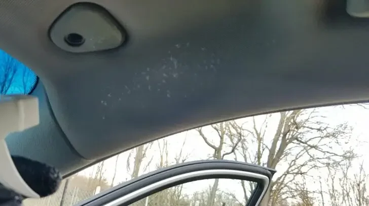 What Causes Water Stains On Headliner