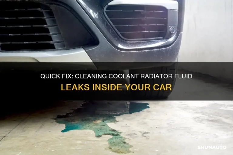 How To Get Rid Of Car Cleaning Fluid Inside Car