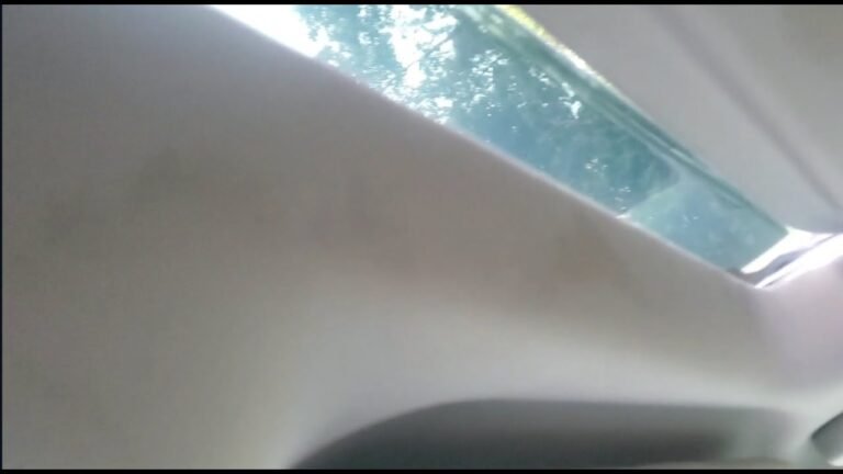 Can I Use Water And Vinegar On Car Headliner
